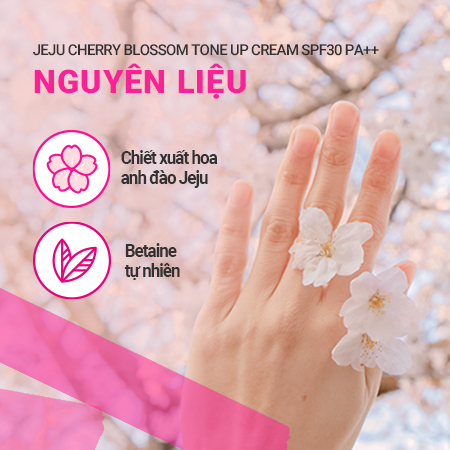 Kem dưỡng trắng da, nâng tông Innisfree Jeju Cherry Blossom Tone-up Cream  SPF 30 PA++ - 50ml -